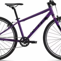 Giant ARX 26 - 2023 -Mountainbikes Verkäufe 06 ARX 26 purple
