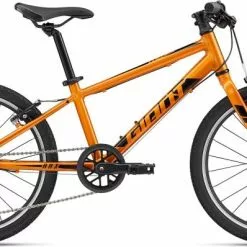 Giant ARX 20 - 2023 -Mountainbikes Verkäufe 19 ARX 20 orange
