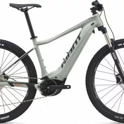 Giant Fathom E+ 2 -Mountainbikes Verkäufe 2022 Fathom E plus 2 29 Color B Desert Sage