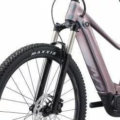 Liv Vall-E+ 2 -Mountainbikes Verkäufe 2022 Vall E plus 2 Color A Echeveria D4