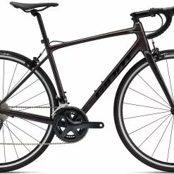 Giant Contend 1 - 2023