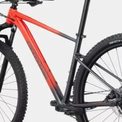 Cannondale Trail SL 3 - 2023 -Mountainbikes Verkäufe C21 C26351M Trail SL 3 RRD D5