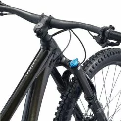 Giant Trance X 1 -Mountainbikes Verkäufe Trance X ColorAPanther D1